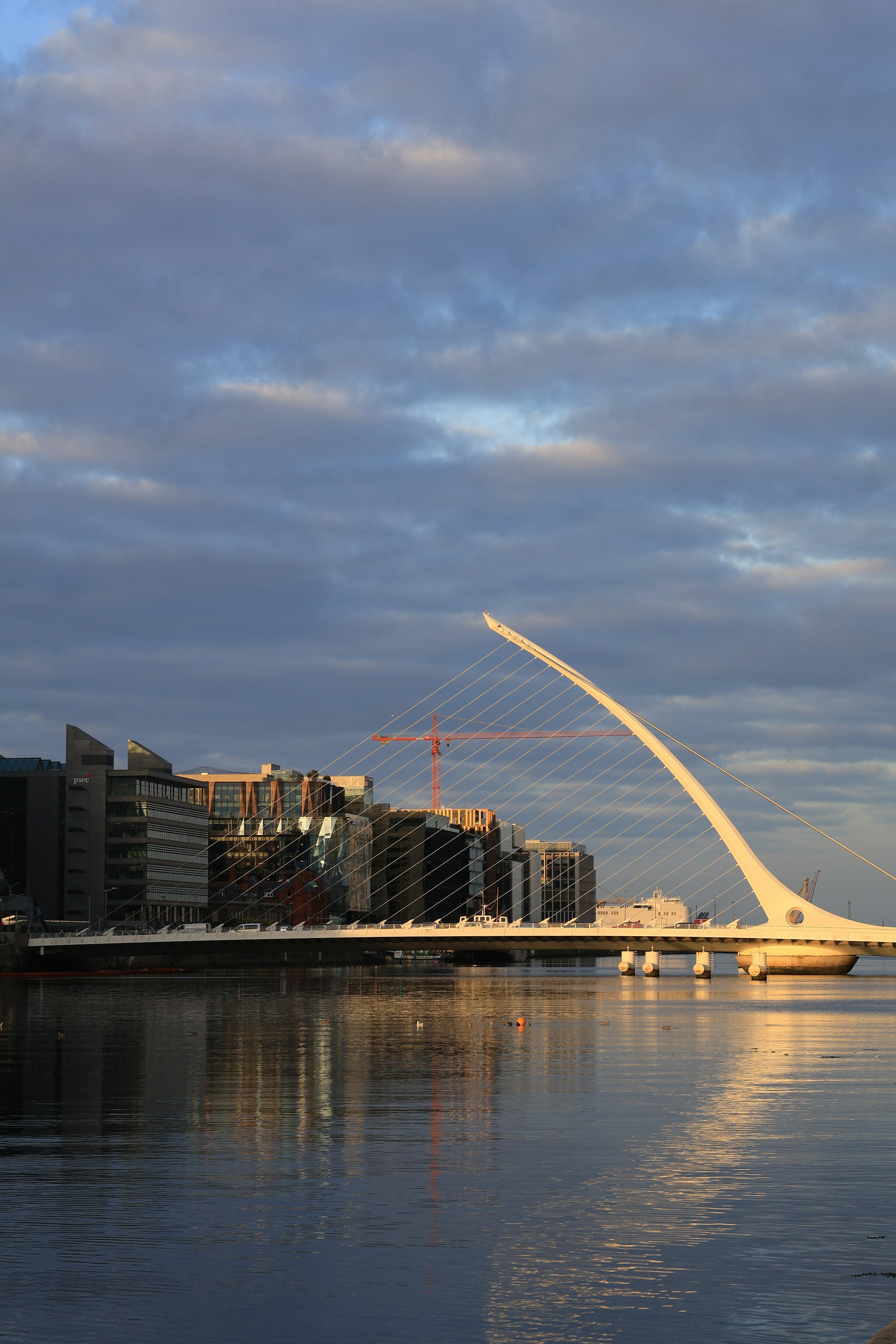 Samuel Beckett Bridge in evening light, Dublin